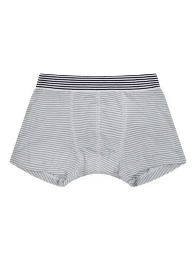 Petit Bateau Cotton Boxer Shorts Five-pack In Multi