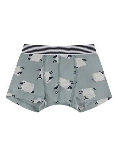 Petit Bateau Cotton Boxer Shorts Five-pack In Multi