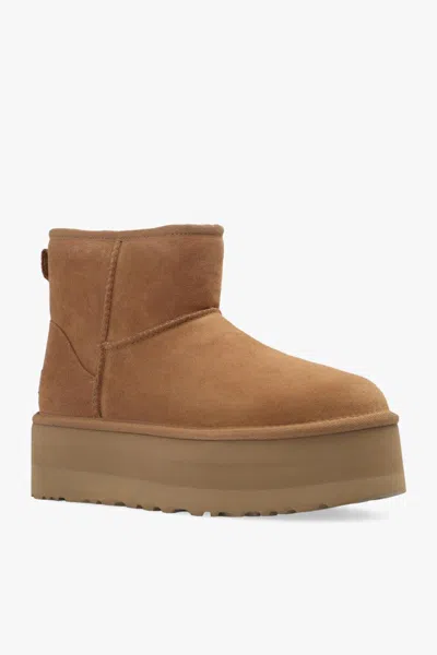 Ugg Beige Suede Ankle Boots In Brown