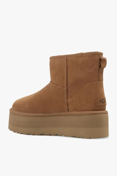 Ugg Beige Suede Ankle Boots In Brown