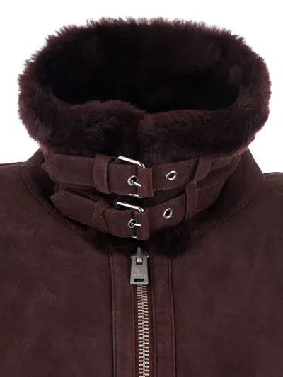 Arma Sano Suede Shearling-lined Jacket In Red