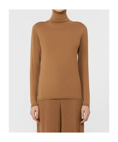 Max Mara Saluto Virgin Wool Turtleneck Sweater In Brown