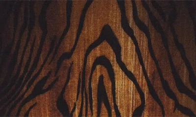 Jean Paul Gaultier Top The Wood In Tulle Stampato Donna In Multi