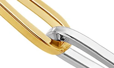 Shymi Two Tone Paper Clip Necklace In Multi