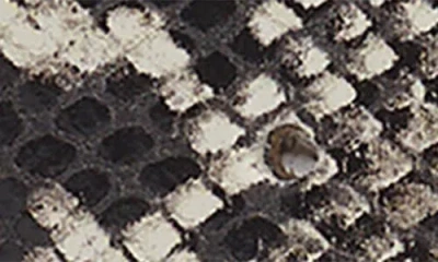 Rag & Bone Small Audrey Snake Embossed Leather Belt In Multi