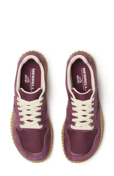 Merrell Wrapt Sneaker In Burgundy