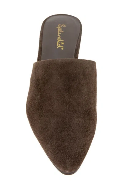 Splendid Lorelei Mule In Brown