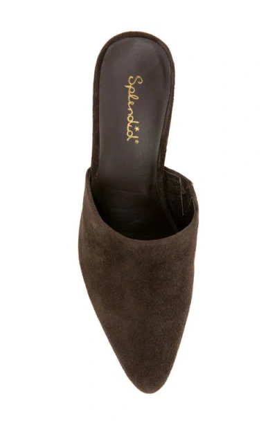 Splendid Lorelei Mule In Brown