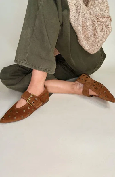 Seychelles Abbey Pointed Toe Flat In Multi