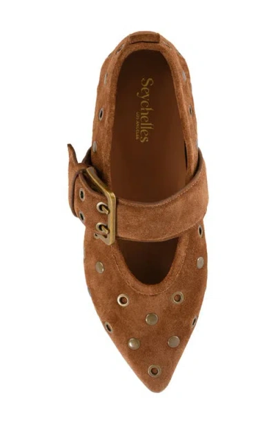 Seychelles Abbey Pointed Toe Flat In Multi