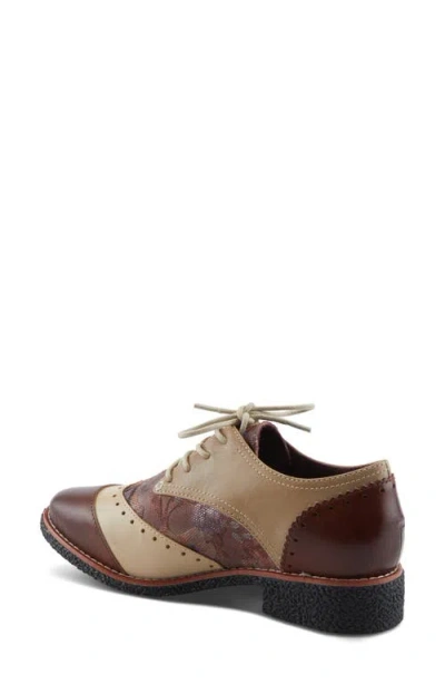 L'artiste By Spring Step Bargiasti Derby In Brown