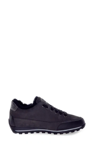 Candice Cooper Runlo Genuine Shearling Lined Sneaker In Black
