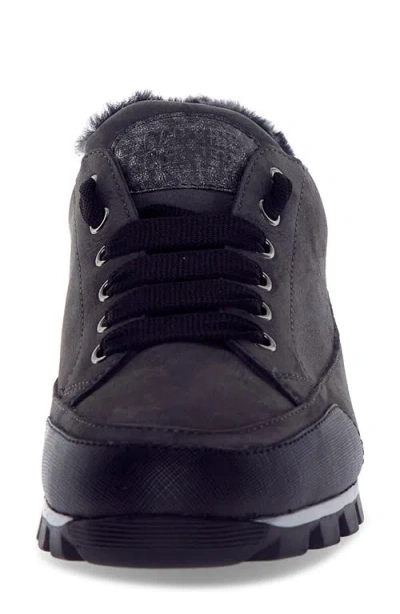 Candice Cooper Runlo Genuine Shearling Lined Sneaker In Black