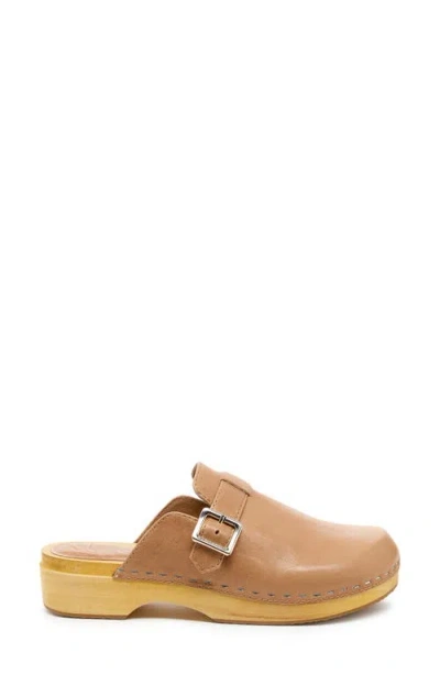Kelsi Dagger Brooklyn Nitro Platform Clog In Brown