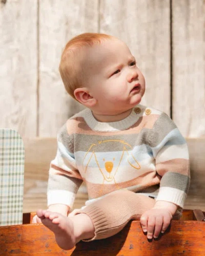 Deux Par Deux Boy Knitted Top And Pant Set In Brown