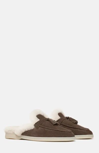 Scarosso Lucrezia Shearling Slip-on Mules In Brown