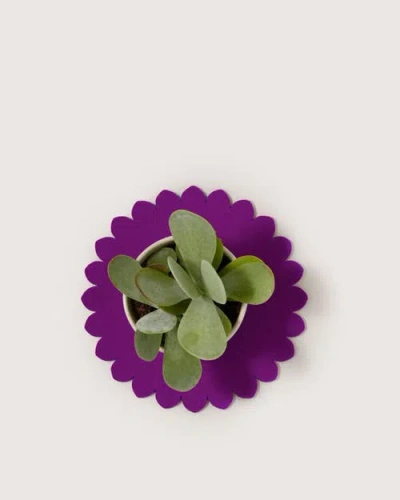 Graf & Lantz Graf Lantz Crest Merino Wool 10" Trivet In Multi