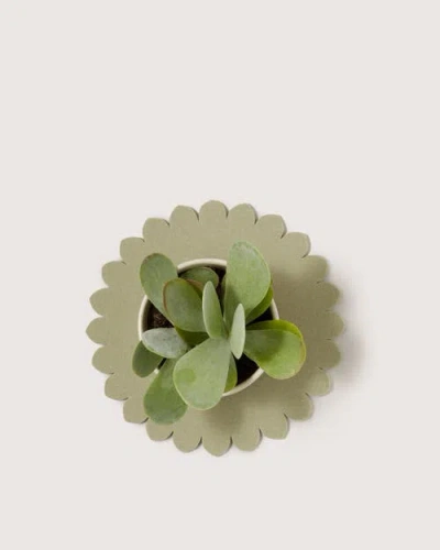 Graf & Lantz Graf Lantz Crest Merino Wool 10" Trivet In Green