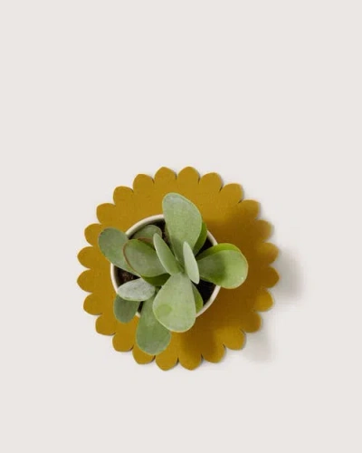 Graf & Lantz Graf Lantz Crest Merino Wool 10" Trivet In Yellow