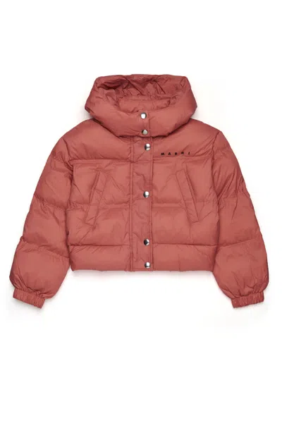Marni Cropped Hooded Padded Jacket In Orange