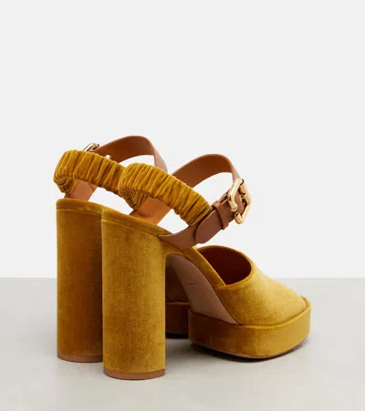 Chloé Chloe' Women Aria Velvet Sandals In Gold
