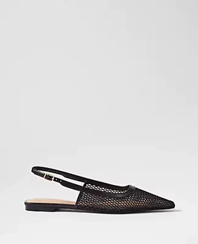 Ann Taylor Mesh Nip Toe Slingback Flats In Black