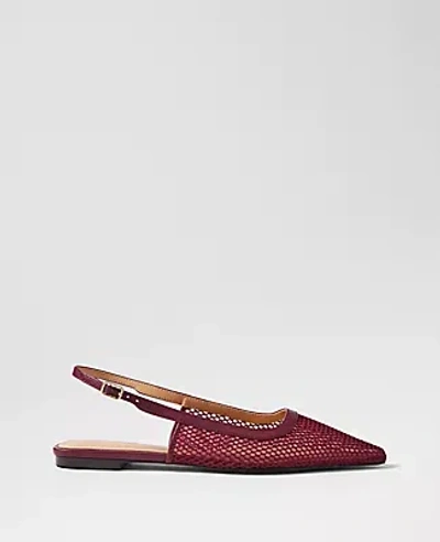 Ann Taylor Mesh Nip Toe Slingback Flats In Burgundy