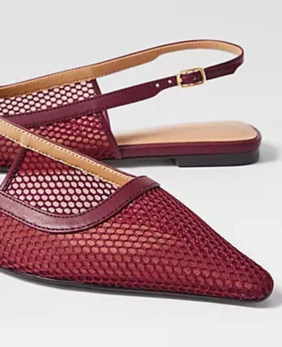 Ann Taylor Mesh Nip Toe Slingback Flats In Burgundy