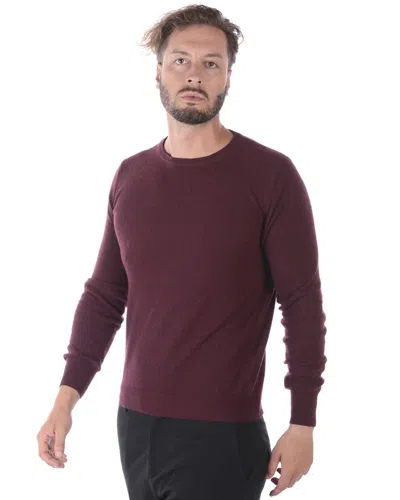 Daniele Alessandrini Sweater In Purple