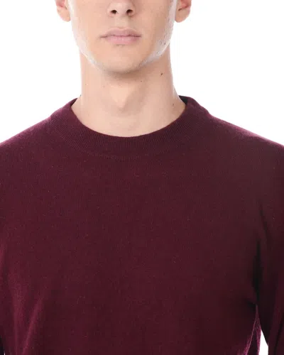 Daniele Alessandrini Sweater In Burgundy