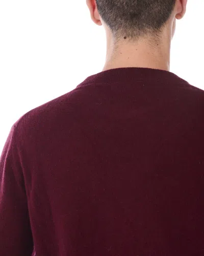 Daniele Alessandrini Sweater In Burgundy