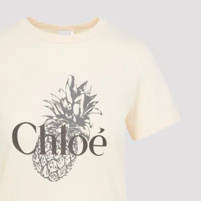 Chloé Relaxed Fit Graphic Pineapple Print T-shirt In Pink