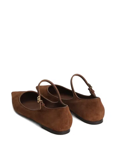 Dolce & Gabbana Pointed-toe Ankle-strap Flats In Purple