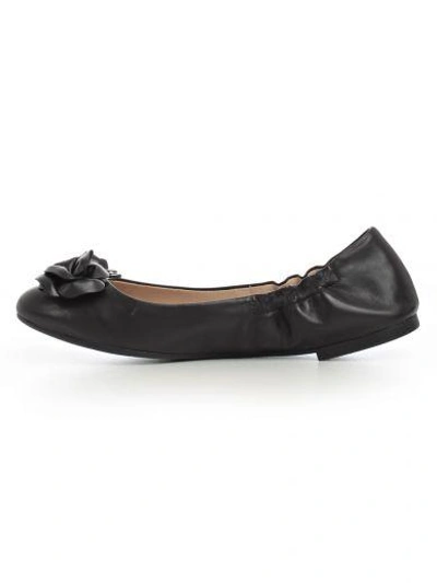 Shop Tory Burch Shoes In Black