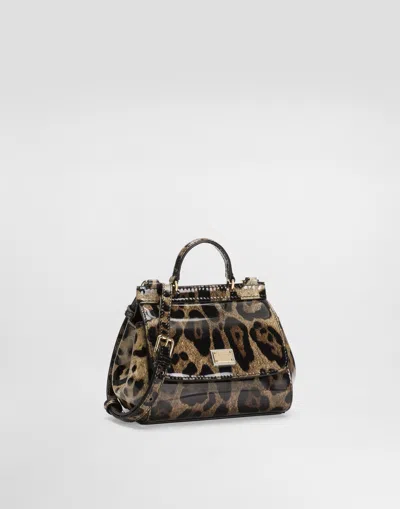 Dolce & Gabbana Printed Polished Calfskin Mini Sicily Bag In Brown