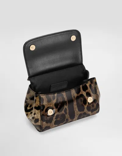 Dolce & Gabbana Printed Polished Calfskin Mini Sicily Bag In Brown