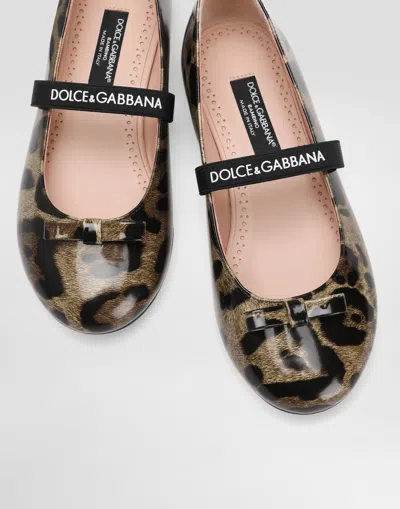 Dolce & Gabbana Ballet Flats In Printed Shiny Calfskin In Multi