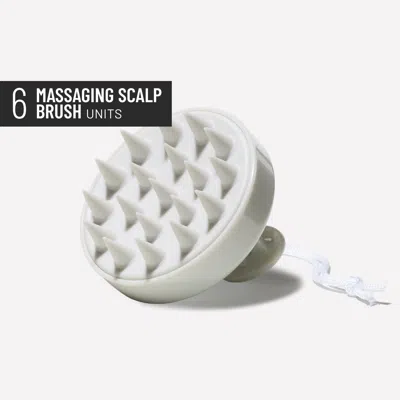 Hairstory Ws Massaging Scalp Brush Case Light Gray (6)