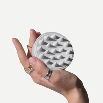 Hairstory Ws Massaging Scalp Brush Case Light Gray (6)