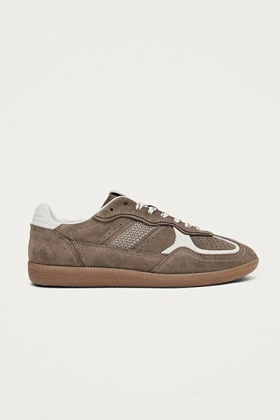 Alohas Tb.490 Rife Taupe Leather Sneakers Shoes In Brown