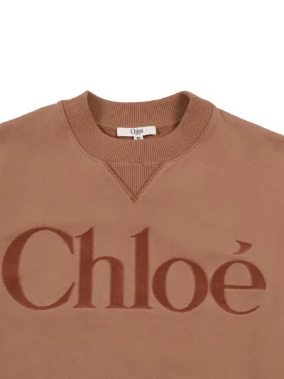 Chloé Sweatshirt In Brown