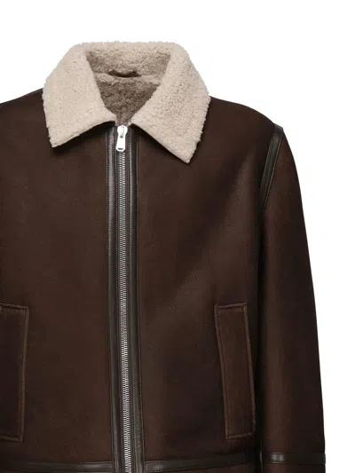 Dondup Shearling-collared Jacket In Brown