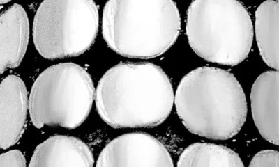 Samuel B. Armadillo Motfi Drop Earrings In Metallic