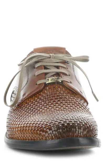 Ambitious 13415 Plain Toe Derby In Brown