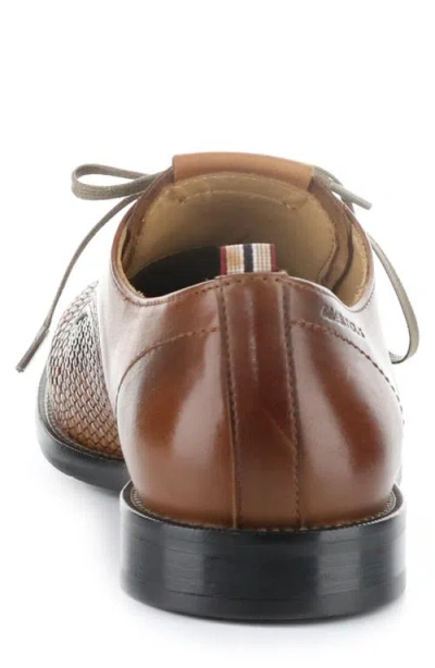 Ambitious 13415 Plain Toe Derby In Brown