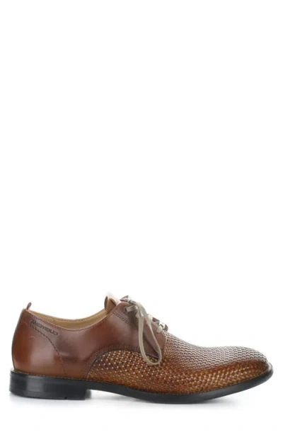 Ambitious 13415 Plain Toe Derby In Brown
