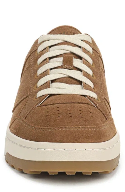 Vince Wilder Court Suede Sneaker In Brown