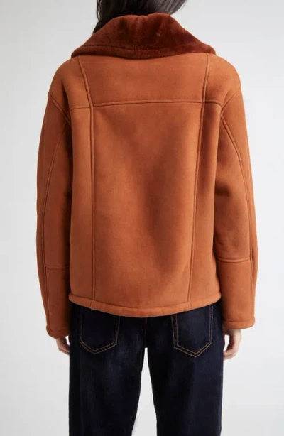 Eleventy Genuine Merino Shearling Aviator Jacket In Brown