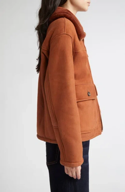 Eleventy Genuine Merino Shearling Aviator Jacket In Brown