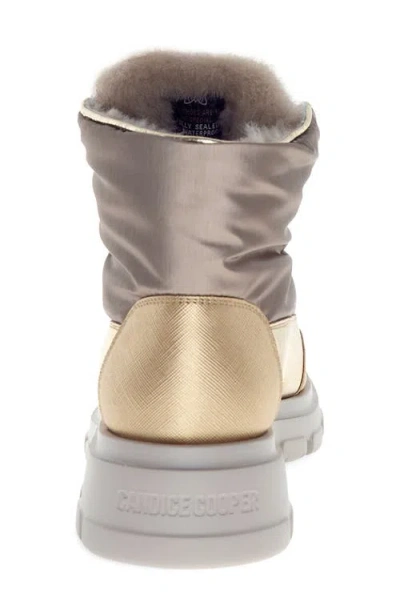 Candice Cooper Chado Genuine Shearling Lined Hiking Boot In Silver